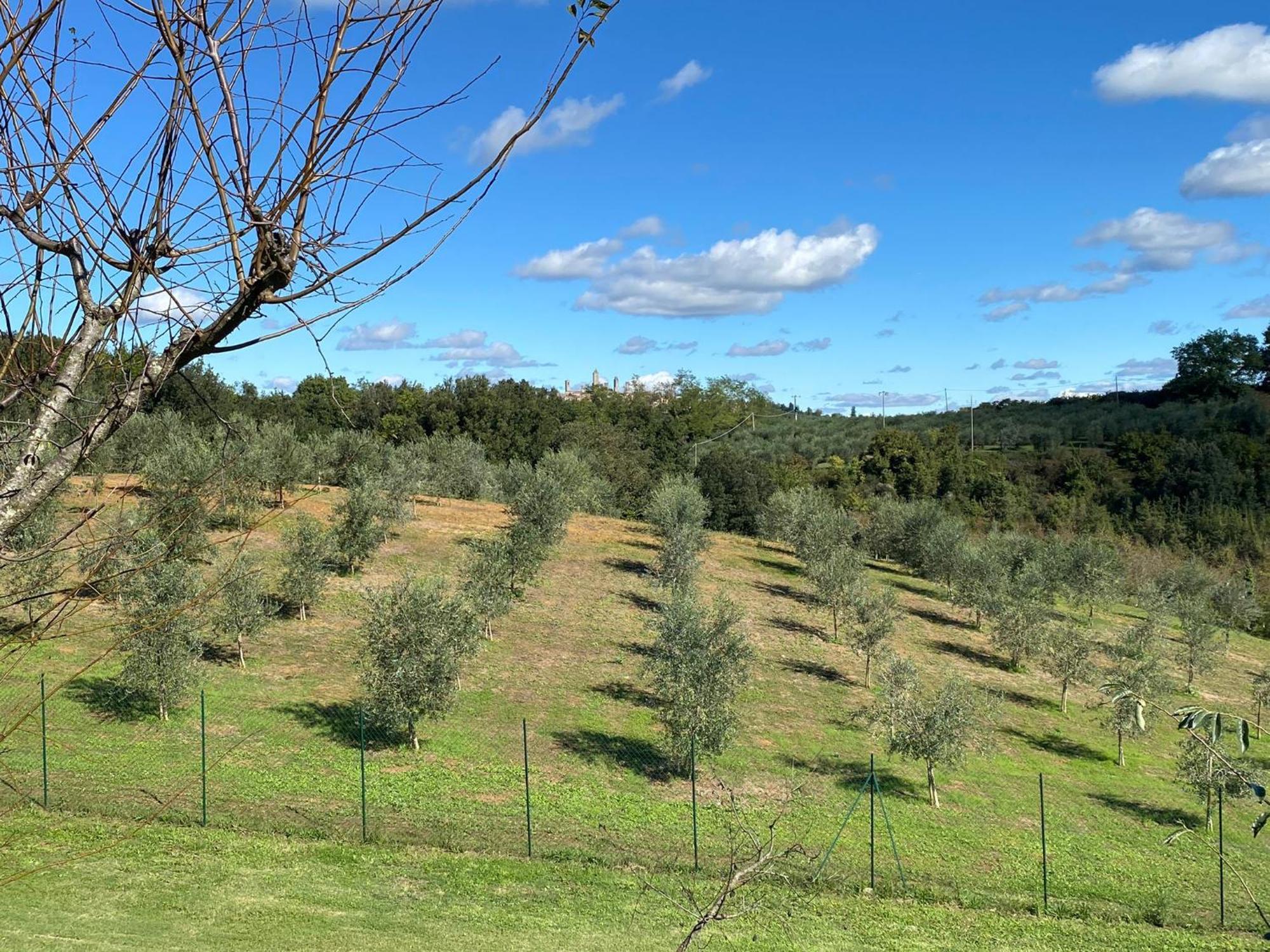 Podere Casanuova Σαν Τζιμινιάνο Εξωτερικό φωτογραφία