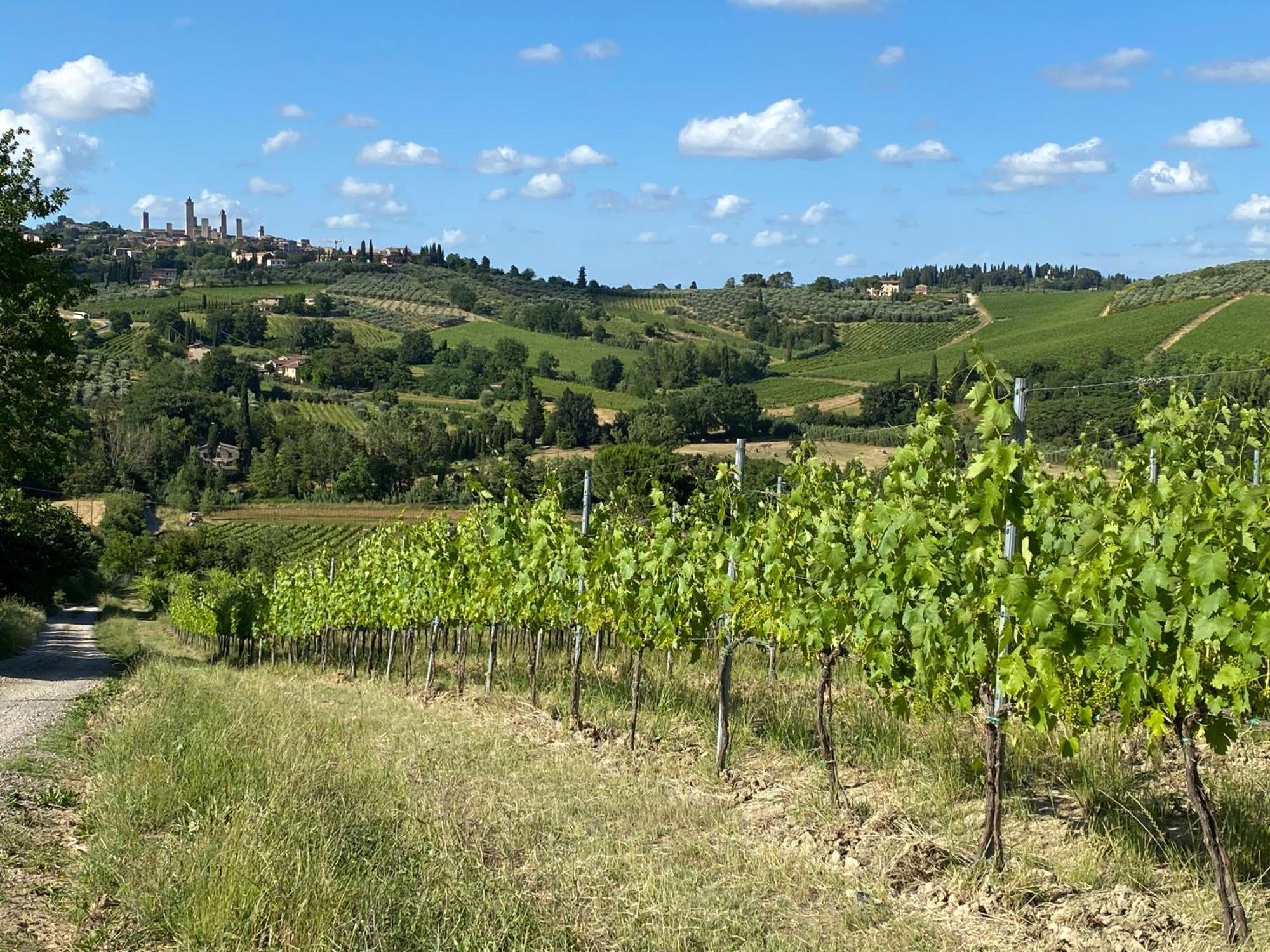 Podere Casanuova Σαν Τζιμινιάνο Εξωτερικό φωτογραφία