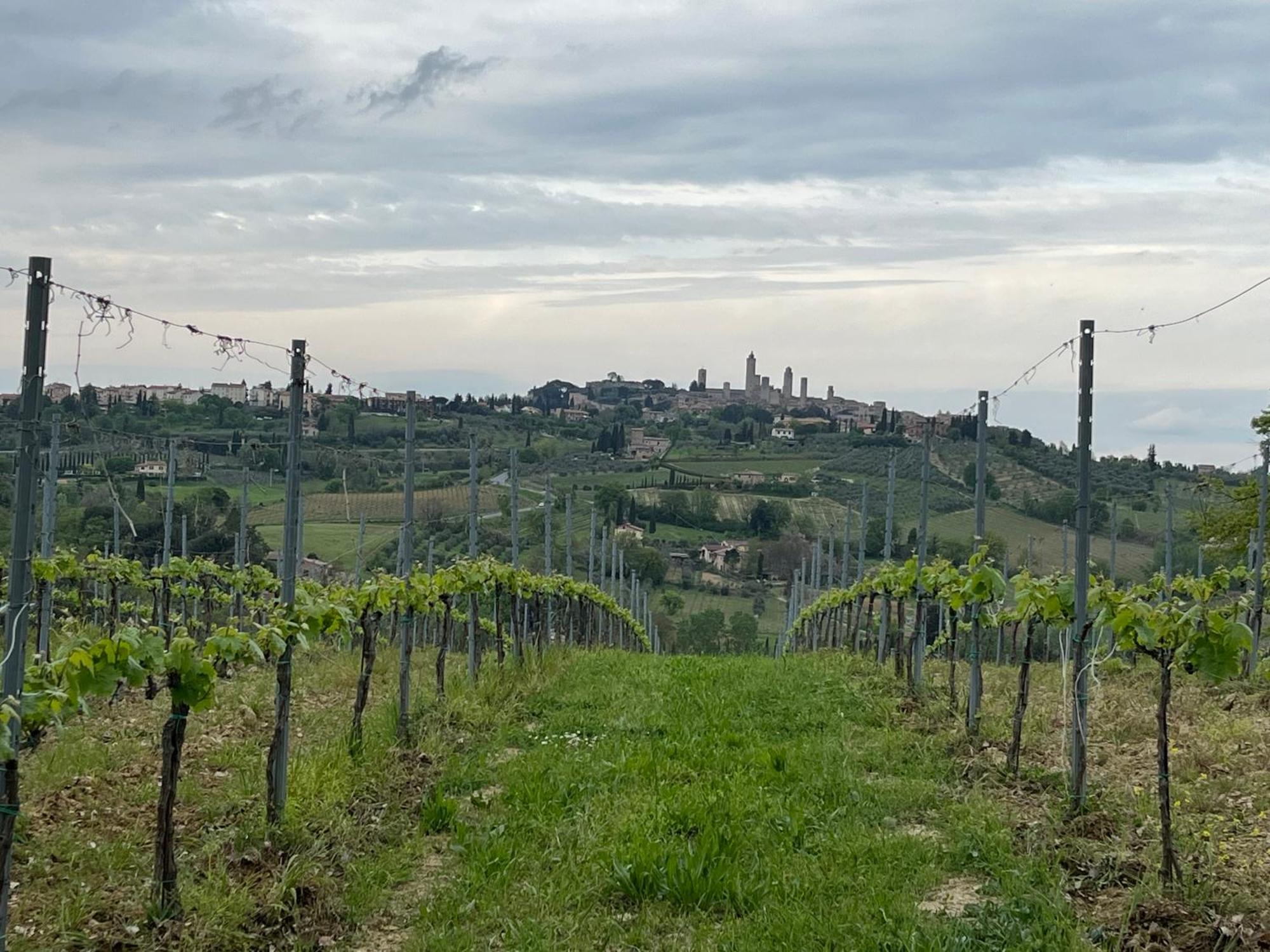 Podere Casanuova Σαν Τζιμινιάνο Εξωτερικό φωτογραφία
