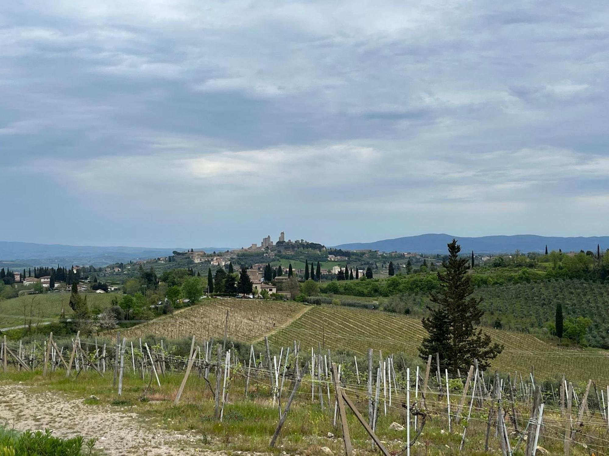 Podere Casanuova Σαν Τζιμινιάνο Εξωτερικό φωτογραφία