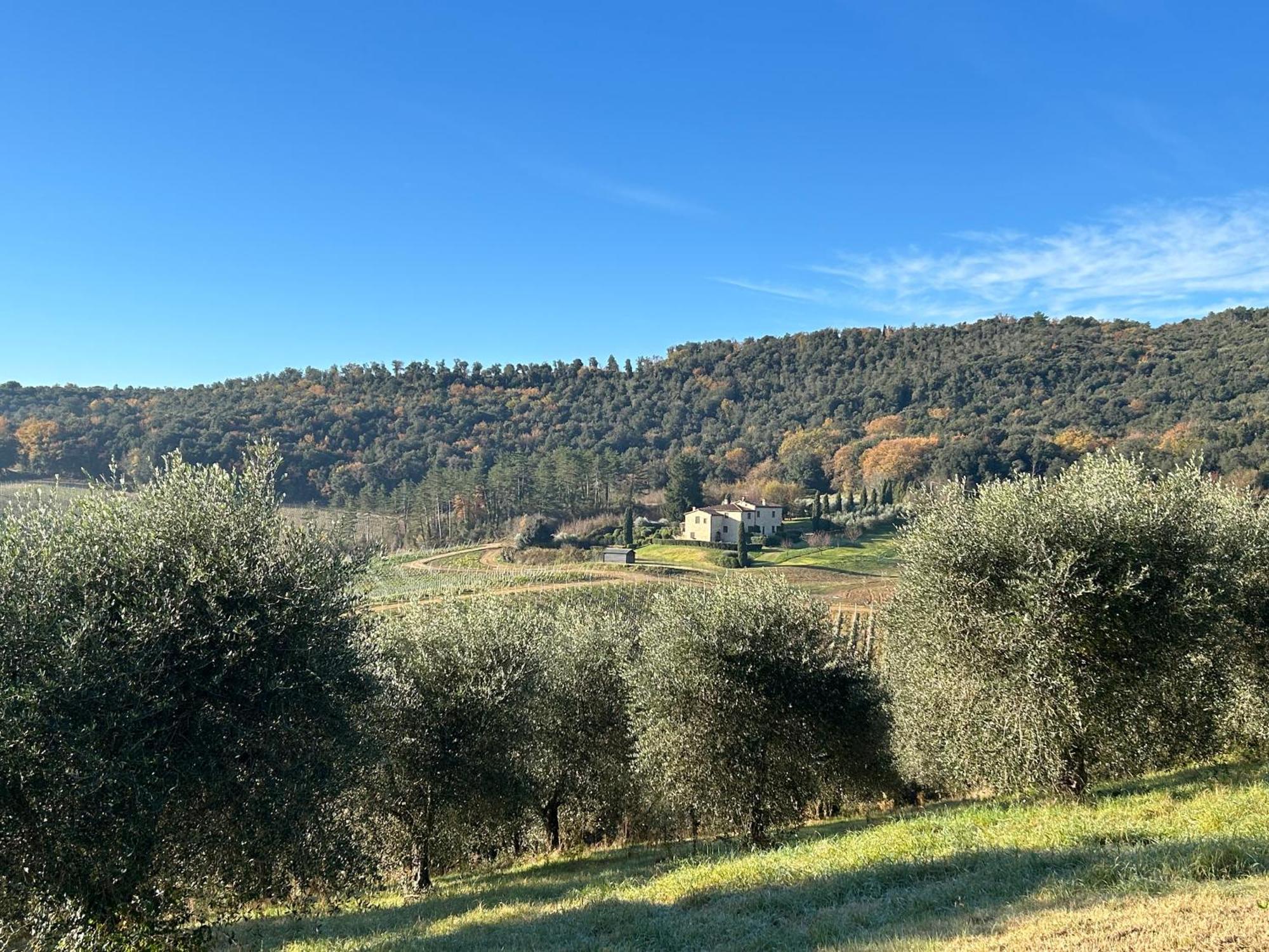 Podere Casanuova Σαν Τζιμινιάνο Εξωτερικό φωτογραφία